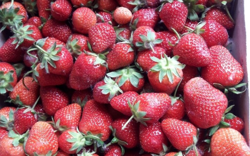 Клубника сезонная домашняя в наличии на складе. Свежая и вкусная. Доставка бесплатно. Без химикатов и добавок. - svezhaya-krupnaya-klubnika-s-domashnego-1651313286013.jpeg