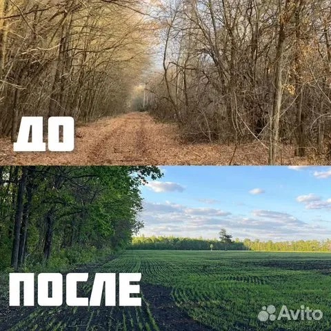  - 5.jpg