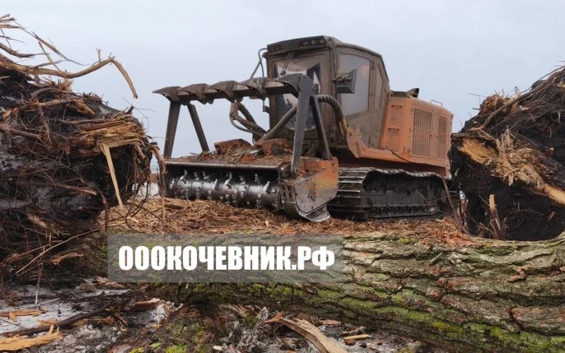  - 8.jpg